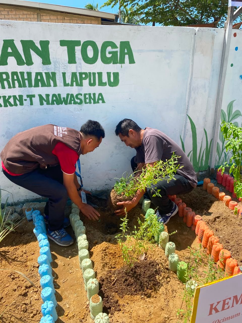 Penanaman Tanaman Obat Keluarga (TOGA) — Foto 6